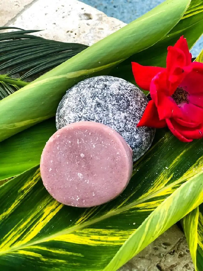 Dirty Bee Shampoo/Conditioner Naked Bar Set