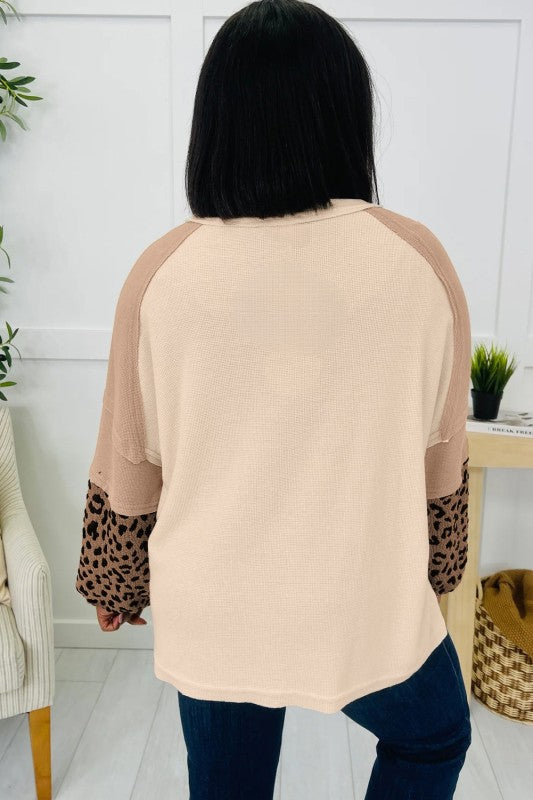 Star Leopard Patchwork Contrast Sweatshirt