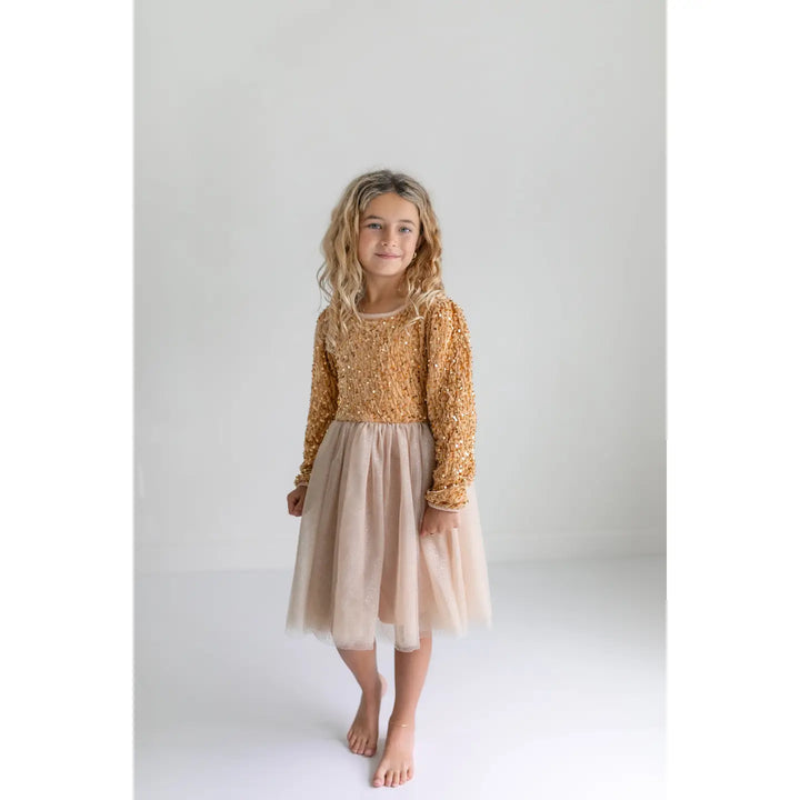Kids Sequin Champagne Holiday Fancy Sparkle Tulle Dress
