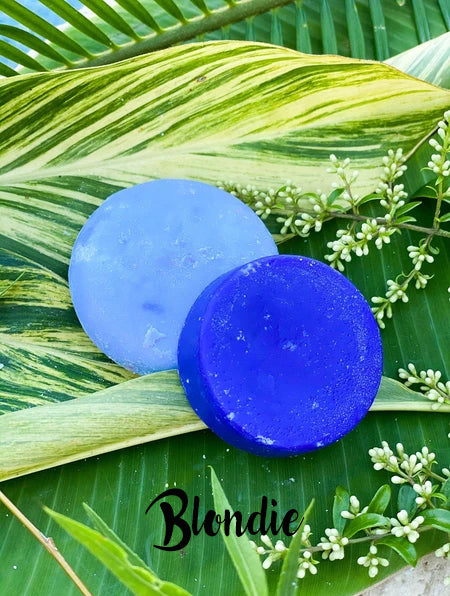 Dirty Bee Shampoo/Conditioner Bar Set with Cases