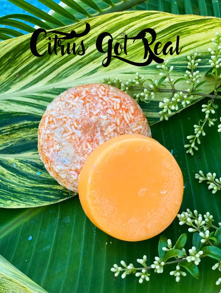 Dirty Bee Shampoo/Conditioner Bar Set with Cases