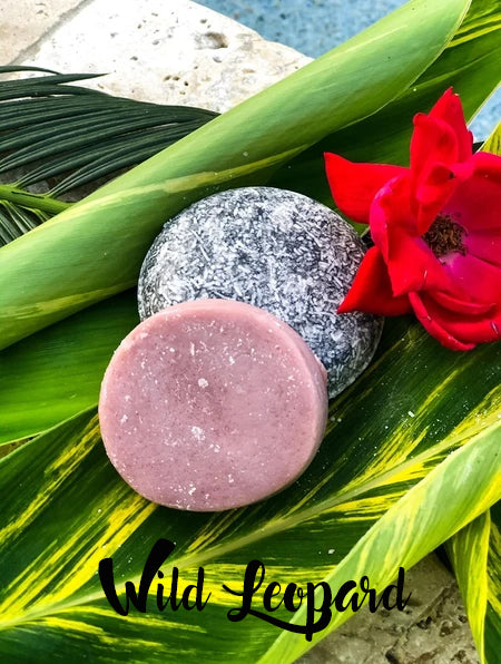 Dirty Bee Shampoo/Conditioner Bar Set with Cases